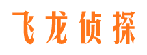 曲麻莱侦探